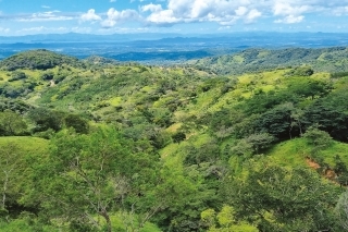 Pohľad na kostarické pralesy.